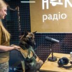 війна