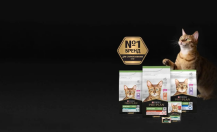 харчування стерилізованих котів