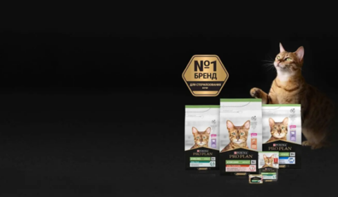 харчування стерилізованих котів