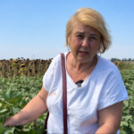 регіони